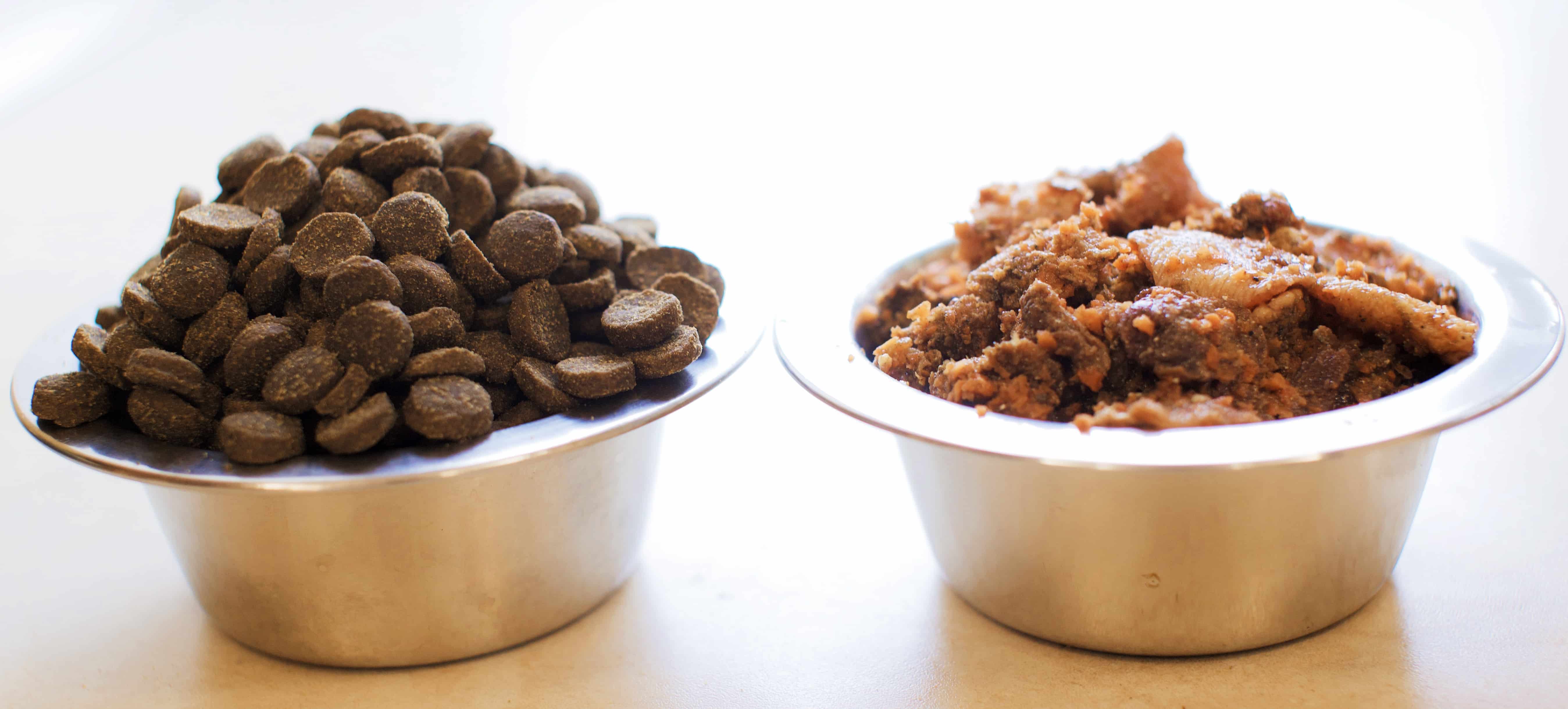 2 bowls of dog food next to each other dry and wet