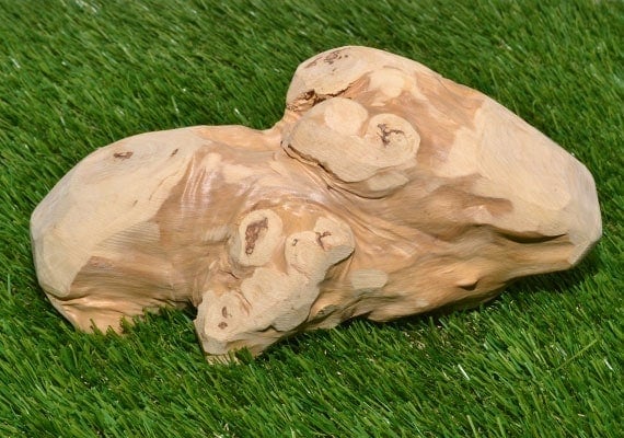 Ware Gorilla Chew real wooden chew toy for dogs sitting on grass