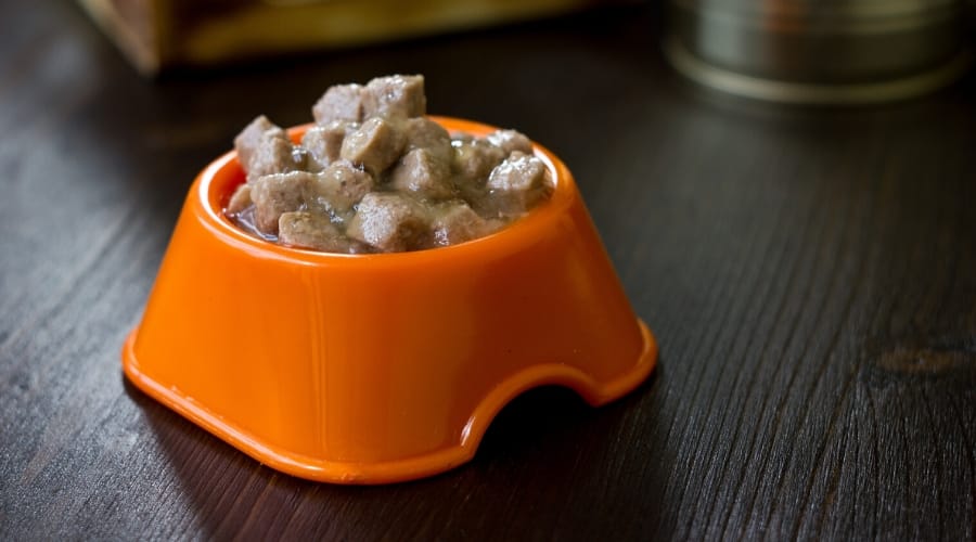 Wet Blue Buffalo Dog Food