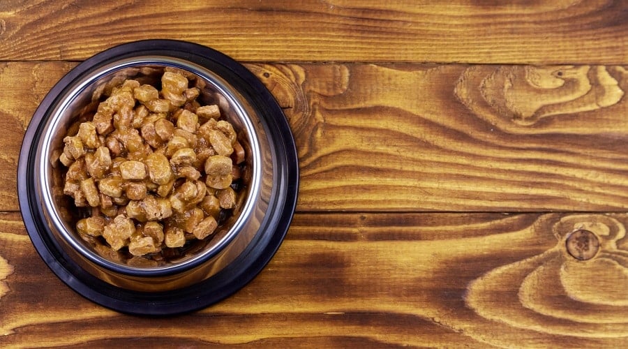 Wet Food For Large Breed Puppies