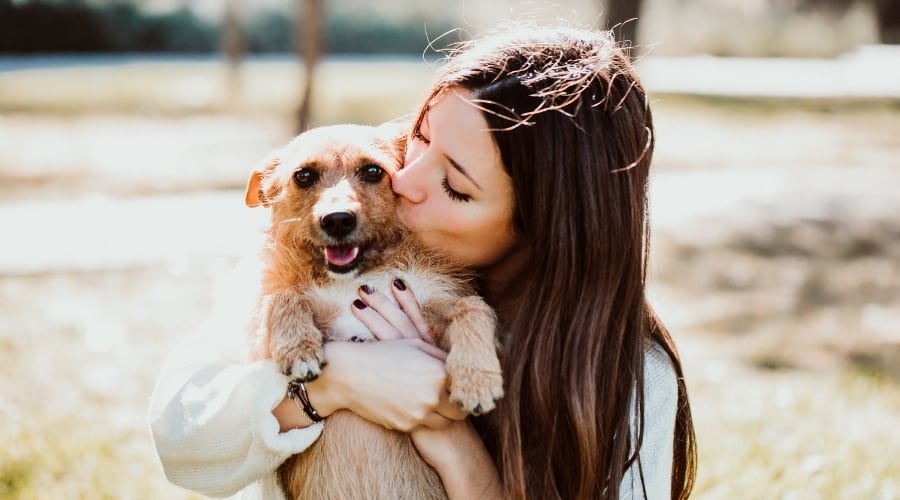 Dog being held by owner.
