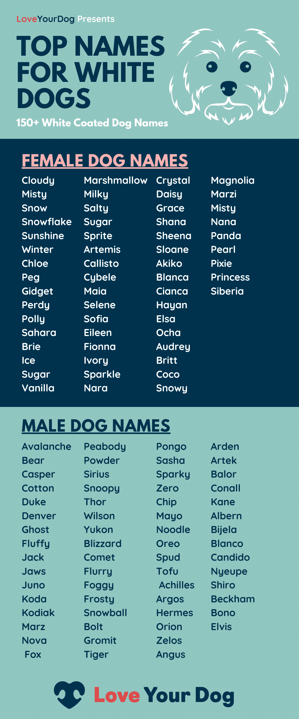 White Dog Names Infographic