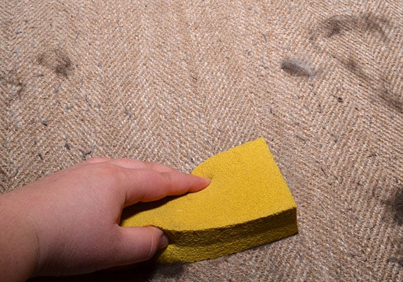 Wiping down seat cushion with gonzo pet hair lifter removing fluffy dog hair