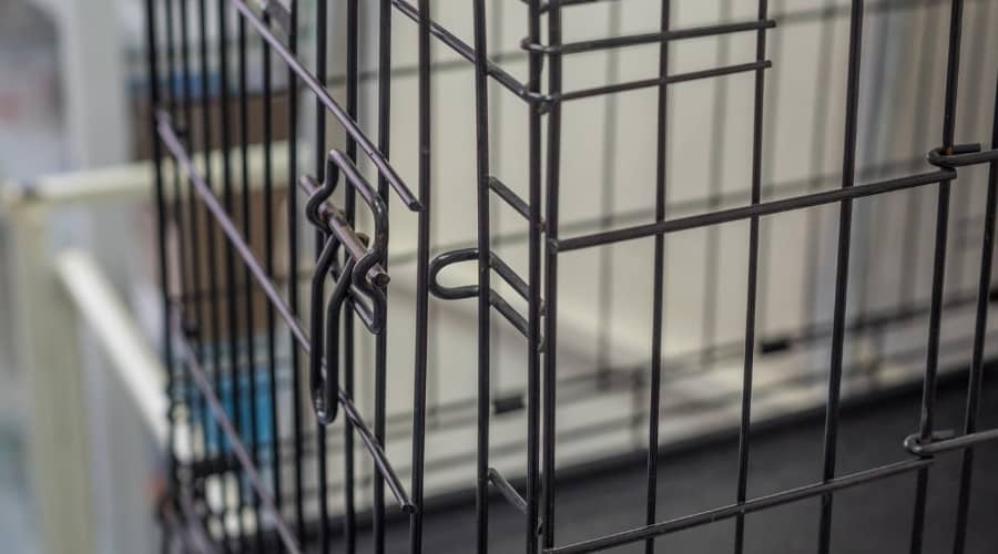 Crate up close.
