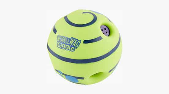Busy Buddy Dog Toy