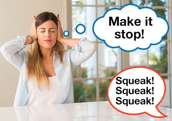 Woman covering her ears from the annoying noise of dog squeaker toy