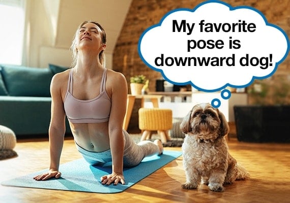 Woman exercising by doing yoga with her small dog