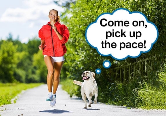 Woman exercising by jogging along footpath as yellow Labrador runs besides her