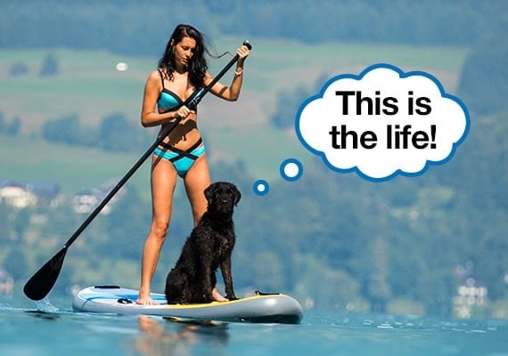 Woman exercising by paddleboarding across a lake with her black labrador sitting on paddleboard with her