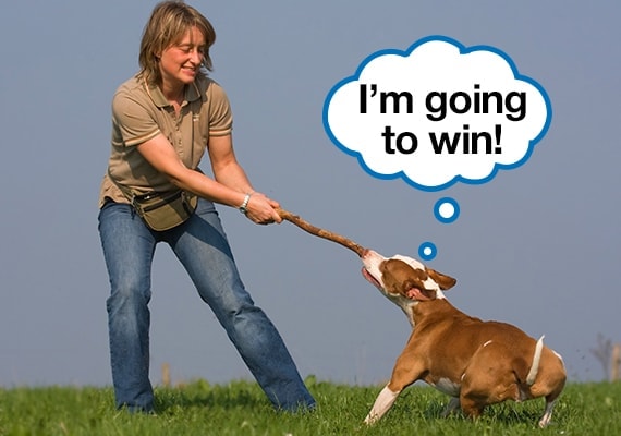 Woman exercising in field by playing tug-of-war with her dog