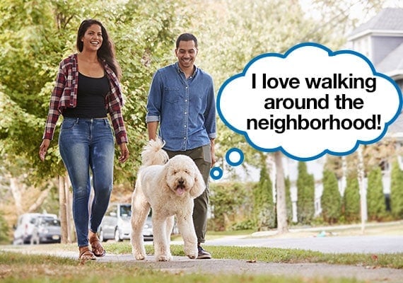 Young couple exercising by walking dog on neighborhood streets