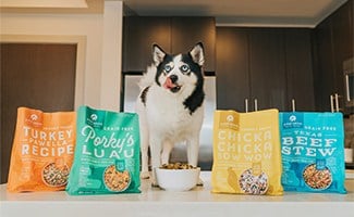 A Pup Above dog food bags with dog