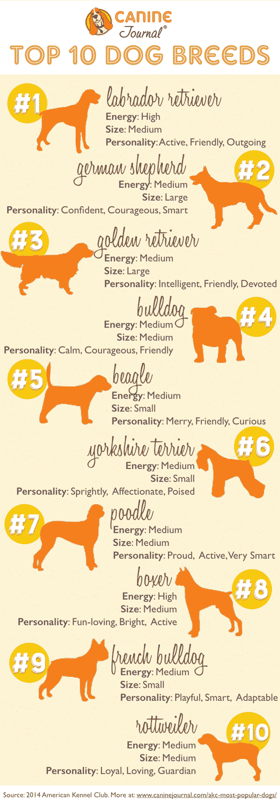 akc top 10 breeds