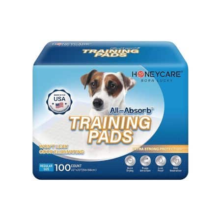 All Absorb training pee pads for dogs