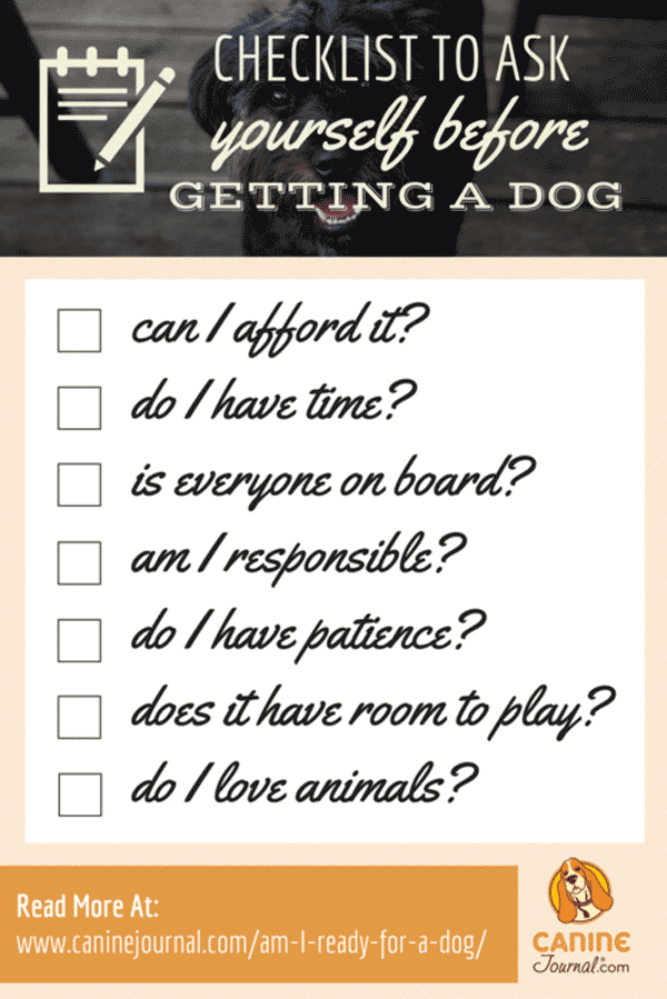 Am I Ready For A Dog How To Be A Responsible Dog Owner Caninejournal Com