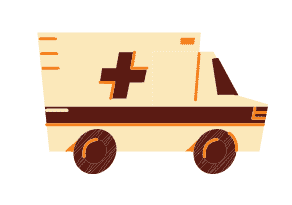 Pet Ambulance