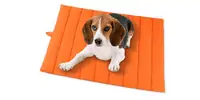 Dog on Amofy Dog Mat