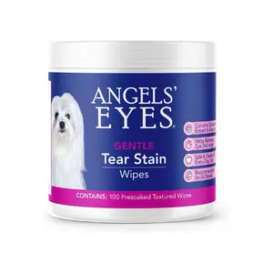 how to clean tear stains on dogs face