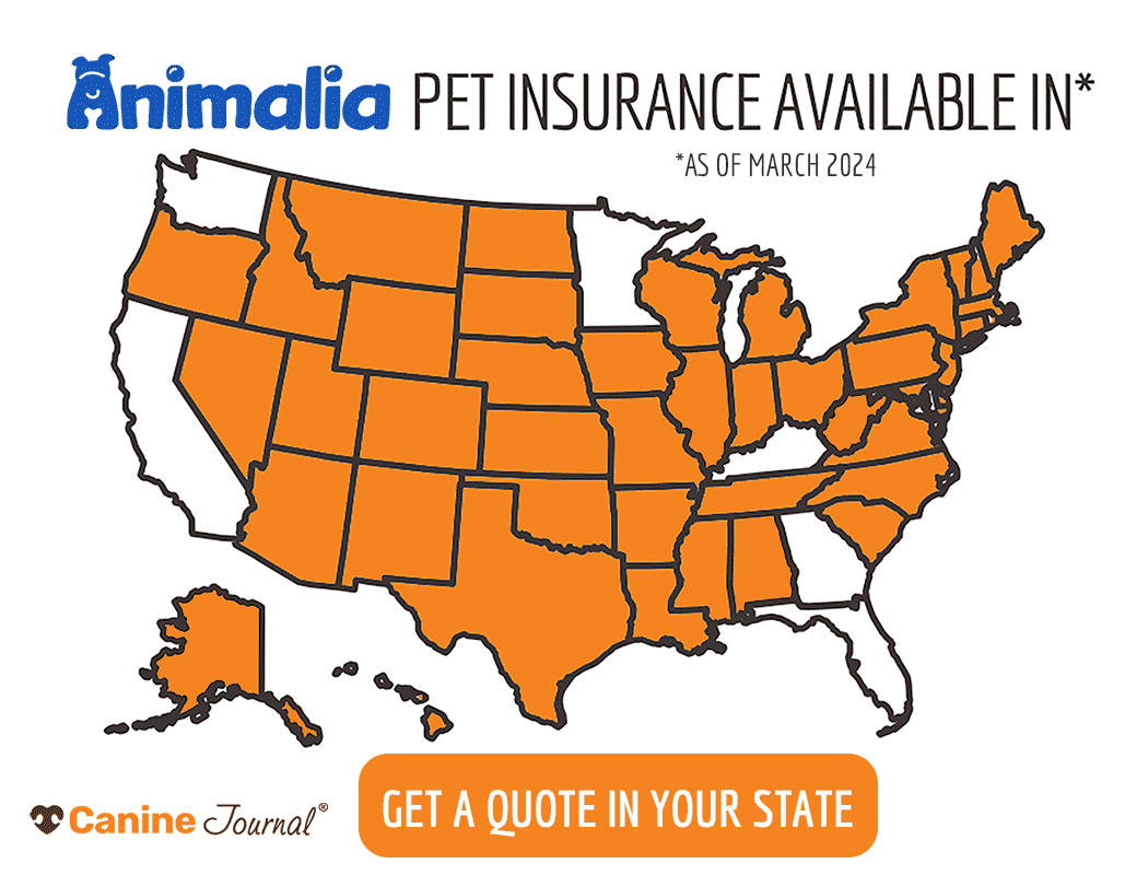 Animalia Pet Insurance availability united states map March 2024.