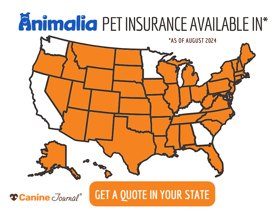 Animalia pet insurance us coverage map as of August 2024.
