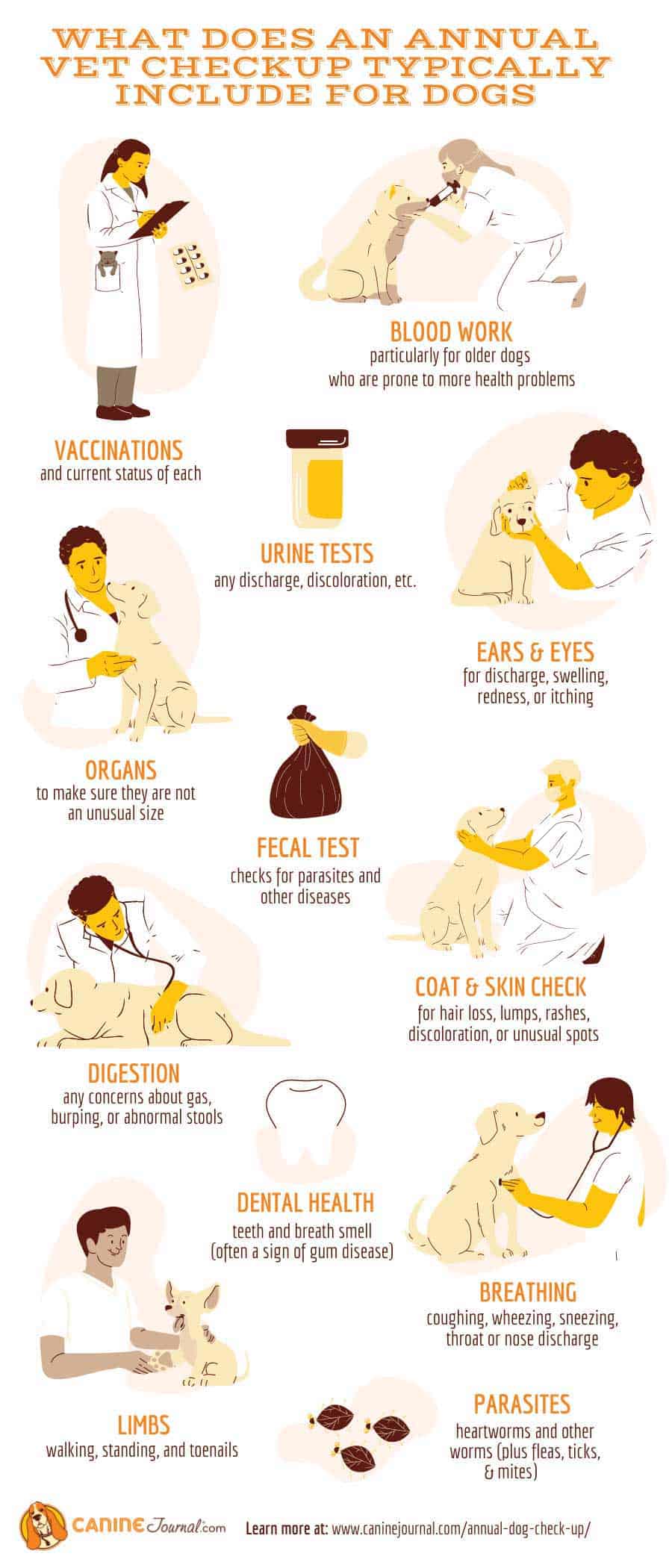 What Does An Annual Checkup For Dogs Include Infographic