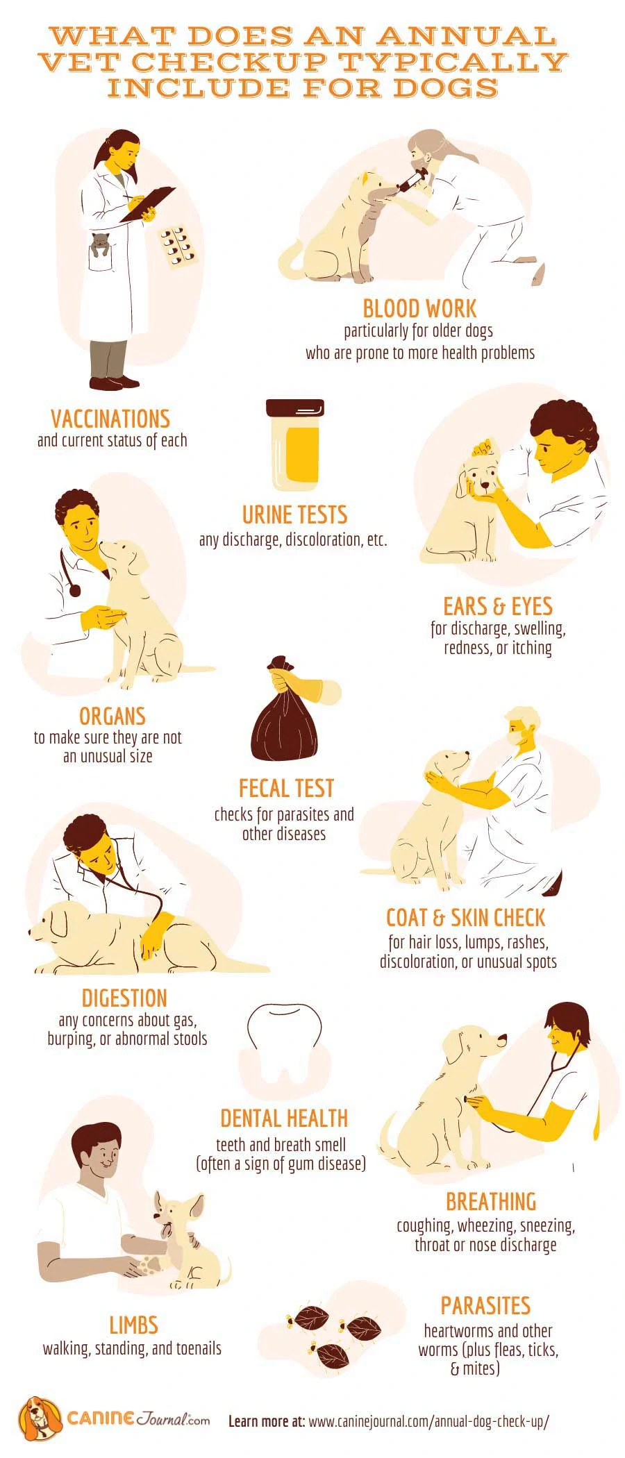What Does An Annual Checkup For Dogs Include Infographic