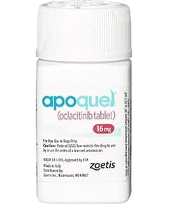 Apoquel For Dogs The Best Allergy Medicine For Dogs Dosage Chart Cost Side Effects More