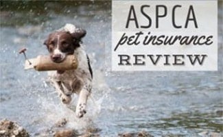 Aspca Pet Insurance Reviews Coverage Quote Cost App Complaints Promo Code How To Cancel And More Caninejournal Com Aspca Pet Insurance Reviews Coverage Quote Cost App Complaints Promo Code How To Cancel And More Caninejournal Com