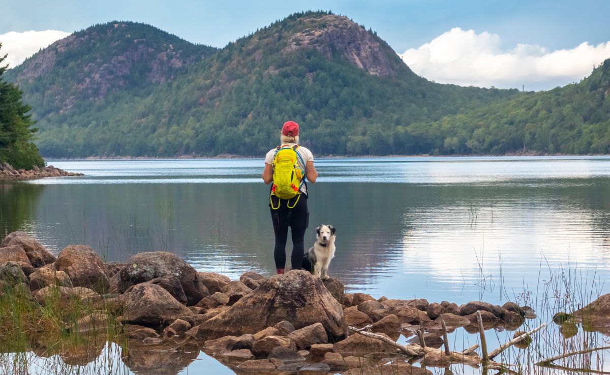 back of a Female hiker and dog at Jordan Pond and The Bubbles, Acadia National Park, Maine