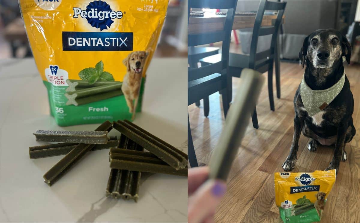 A bag of Dentastix dental chews with dog chewing one.