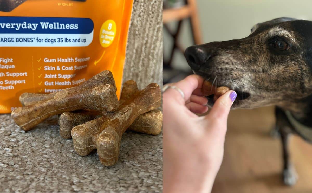 bag of Zesty Paws dental sticks with sally using them.