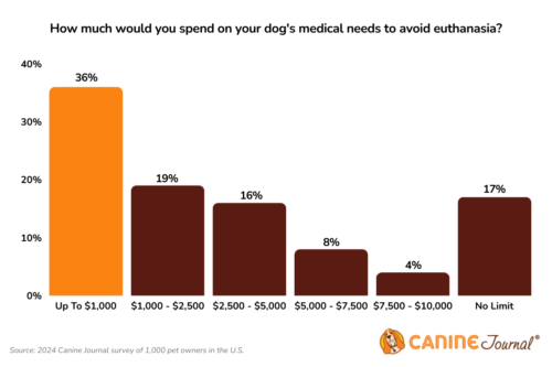 Nearly Half Of Pet Owners Would Consider Euthanizing Their Pet When Nearly Half Of Pet Owners Would Consider Euthanizing Their Pet When
