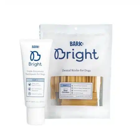 bark brite original dental kit