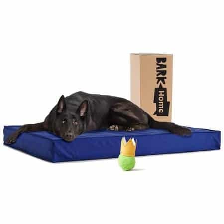 BarkBox Outdoor All Weather Dog/Cat Bed 