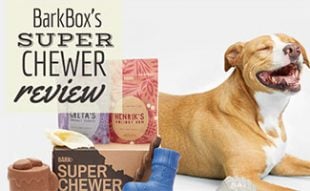 my dog ate my vitamins