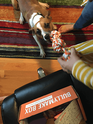 bullymake dog toys reviews