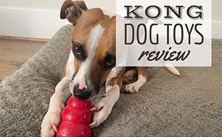 Barley with dog toy (caption: Kong Dog Toys Review)