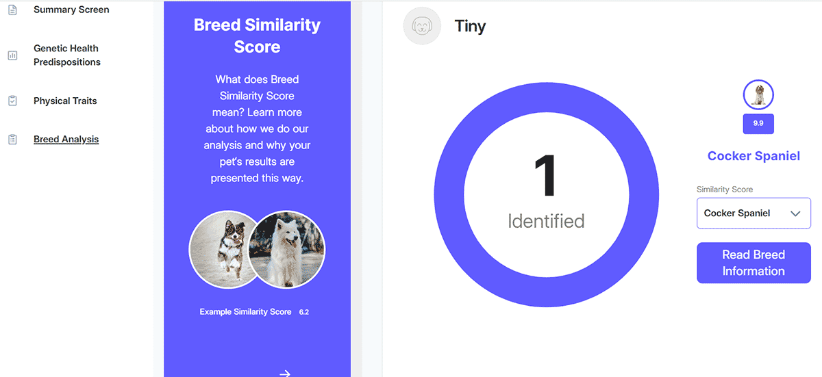 Basepaws dna dog breed similarity score.