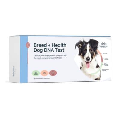 basepaws dog health dna test