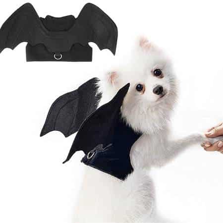 Bat Dog Costume