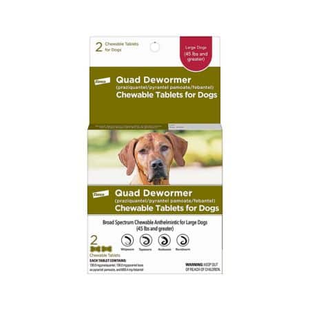 Best Dewormer For Puppies: Bayer Quad Dewormer Review