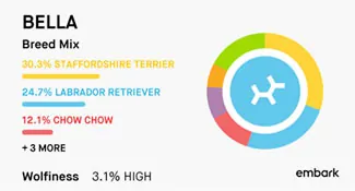 Pie graph showing test results: Bella's Embark DNA Test Reults
