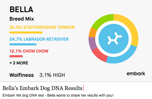 Bella's Embark DNA Test Reults bella embark dna breed results screenshot png