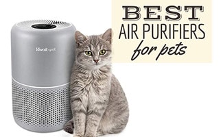 best air purifier for cat pee