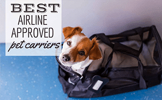 cute small dog in his travel cage ready to get on board the airplane at the airport (Caption: Best Airline-Approved Pet Carriers)