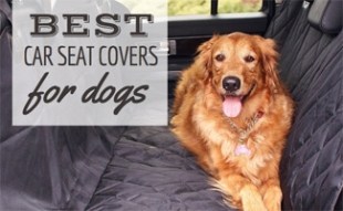 Best Car Seat Covers For Dogs: For Trucks, Cargo Liners, Hammocks, And