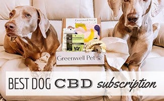 Two dogs with CBD Box subscription between them (caption: Best dog CBD subscription)