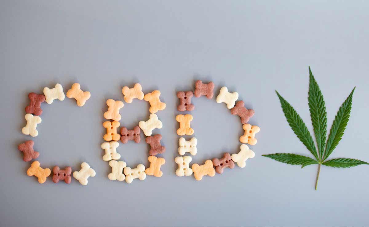 Green cannabis or hemp leaf and CBD lettering are written from pet food