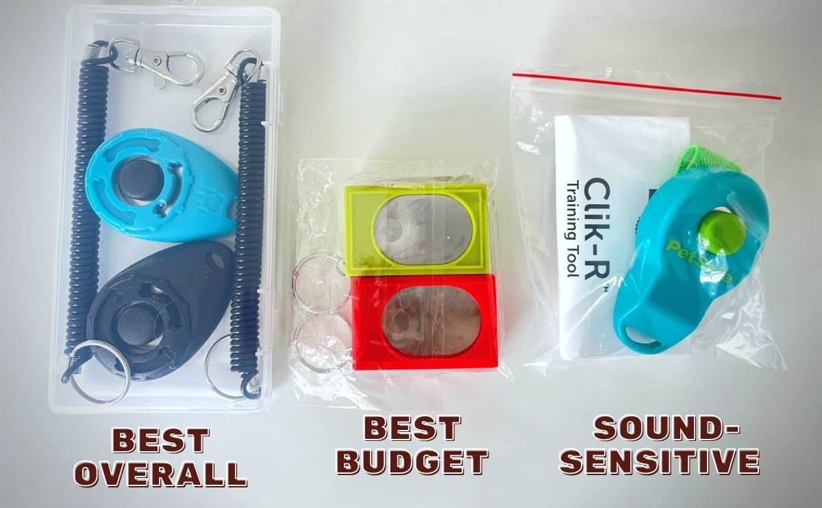 best dog clickers by category