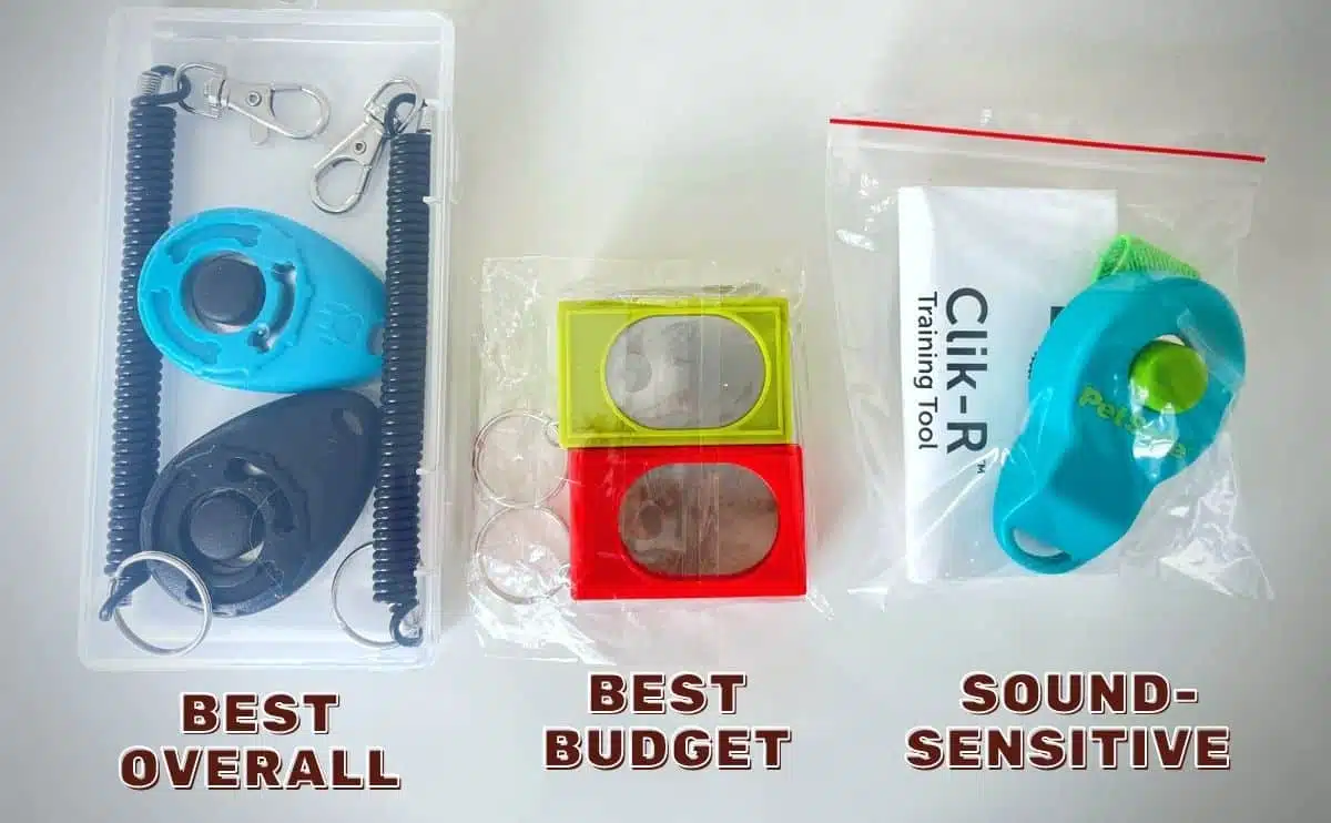 3 Best Dog Training Clickers (11+ Tested & Reviewed!) - Dog Lab